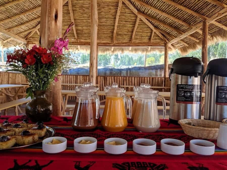 1-day excursion to Palcoyo Mountain + Breakfast and Lunch - Price and Logistics: What $40 Really Buys