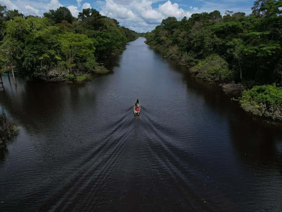 2-Day All Inclusive Guided Jungle Tour from Iquitos - Key Things That Make This Tour Worth Your Time