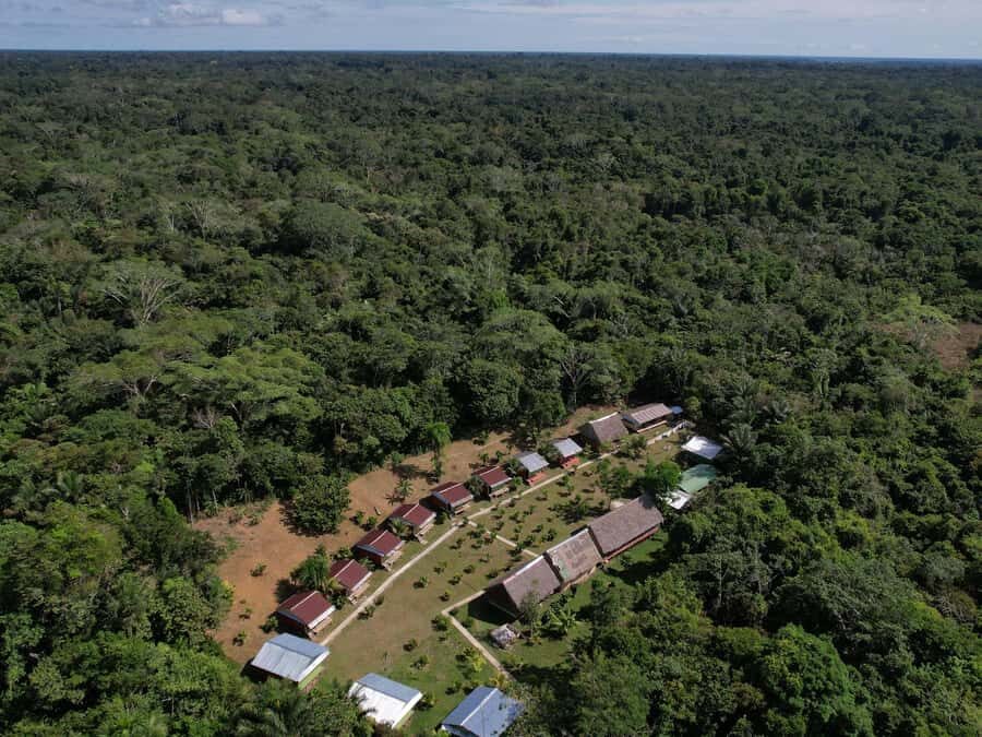 2-Day All Inclusive Guided Jungle Tour from Iquitos - Price and What $290 Buys in Real Terms