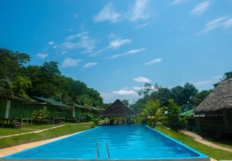 2-Day All Inclusive Guided Jungle Tour from Iquitos - Monkey Island: A Whole Menu of Monkeys, Not a One-Stop Peek