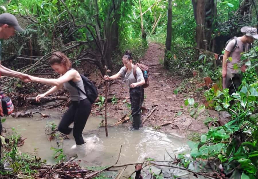 2-Day All Inclusive Guided Jungle Tour from Iquitos - Day 2 Sunrise Jungle Hike, Plant Learning, and Getting a Local Lens