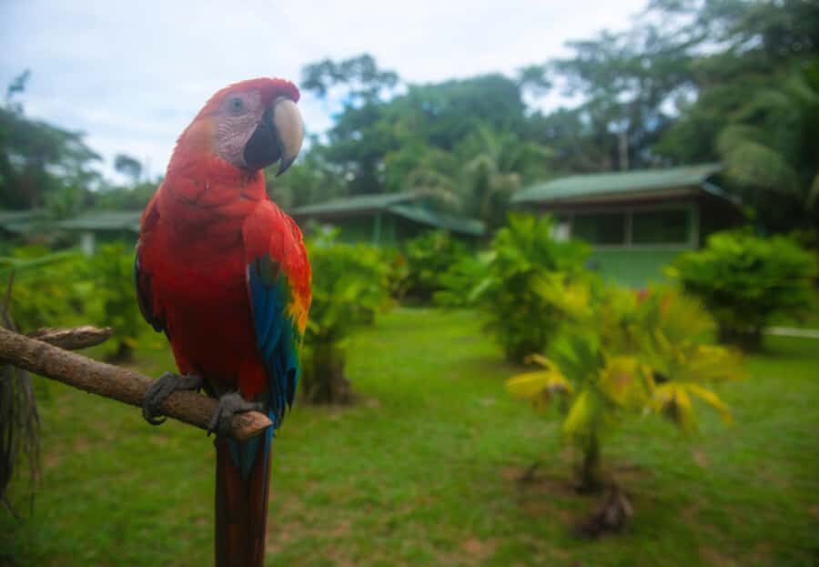 2-Day All Inclusive Guided Jungle Tour from Iquitos - Visiting a Native Indian Tribe and Seeing Victoria Regia