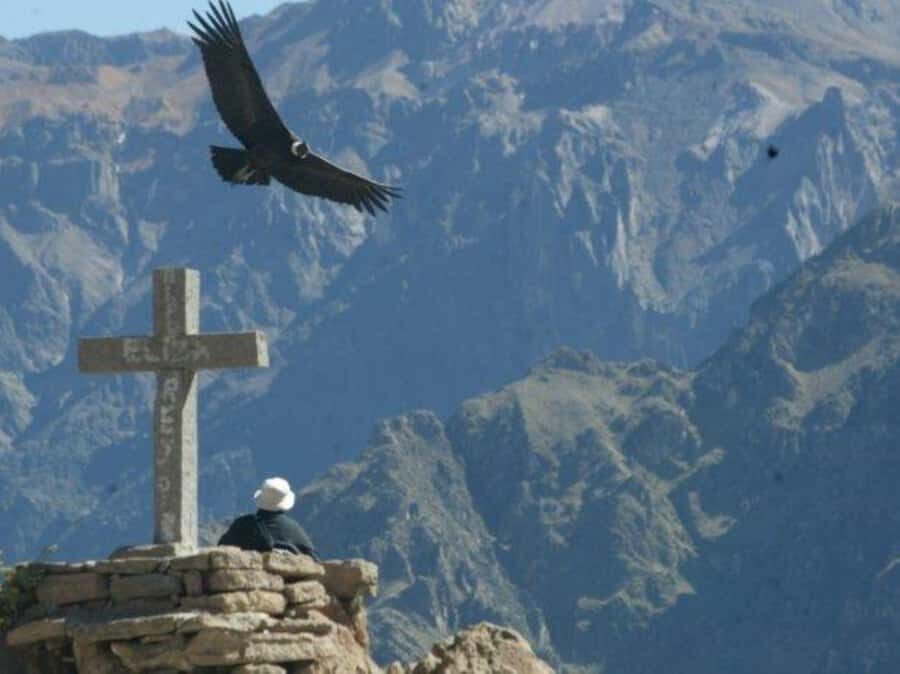 2-Day Colca Canyon Tour to Puno with accommodation - Key highlights worth caring about