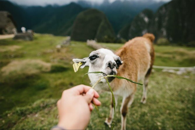 2-Day Short Inca Trail to Machu Picchu - What you get for $680: price, inclusions, and real value