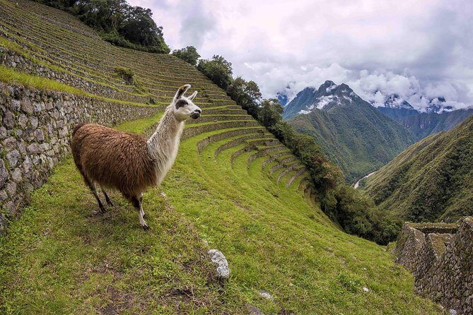 2-Day Short Inca Trail to Machu Picchu - Guides, pacing, and that small-group feel (it matters more than you think)