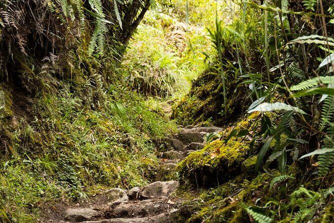 2 Day - Short Inca Trail to Machu Picchu - Group Service - How the transport and meals add real value