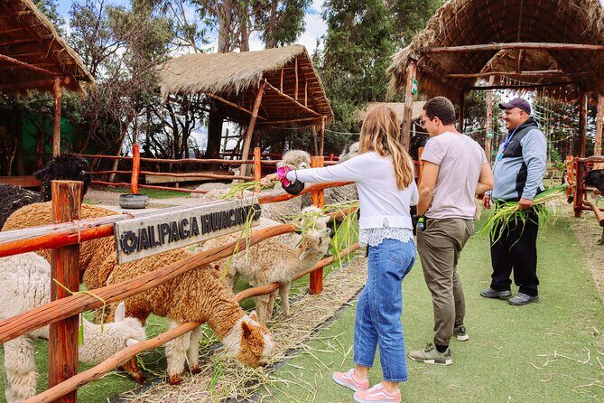 2-Day Tour: Sacred Valley & Machu Picchu – All Tickets Included - Awana Kancha and Taray: alpacas first, then the valley’s “why”