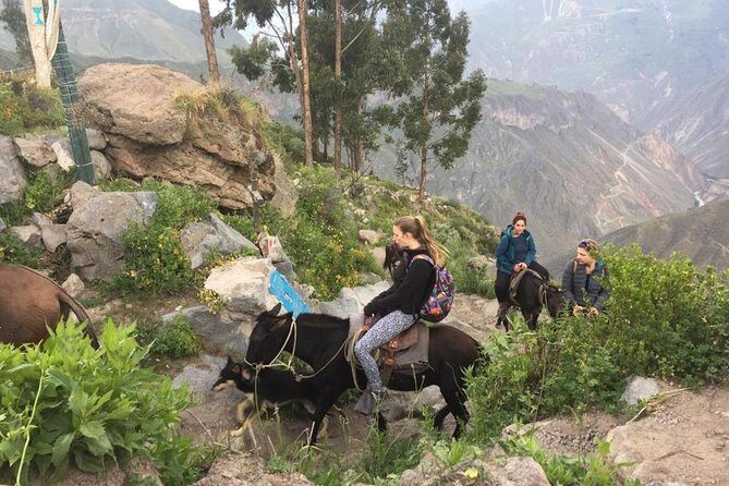 2 Day Trek Including Transfer to Puno / Colca Canyon - Food and lodging: decent fuel, not five-star comfort