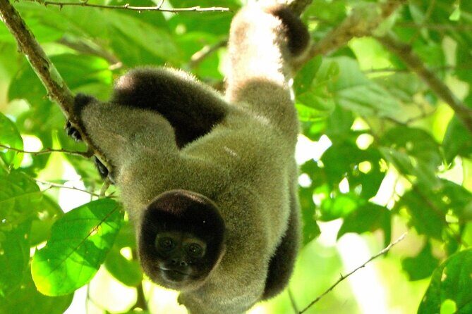 3-Day Eco-Sustainable Private Tour Manu National Park - Key Highlights You’ll Actually Feel