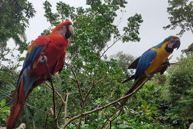 3-Day Eco-Sustainable Private Tour Manu National Park - Food, lodging, and comfort: “comfortable hostels” with jungle reality