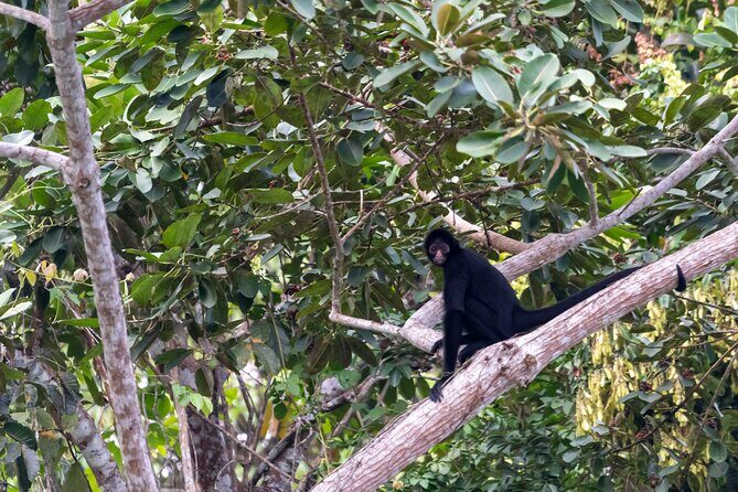 3-Day Eco-Sustainable Private Tour Manu National Park - Price and value: what $389 buys you in the real world