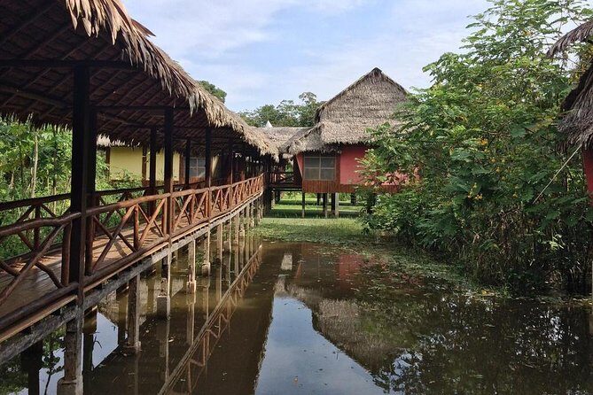 3-Day Iquitos Amazon Jungle Adventure at Heliconia Lodge - The real value in the $482.50 price
