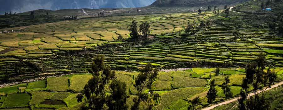 3-day trek to the Colca Canyon from Arequipa ending in Puno - Fitness, Timing, and Packing Tips That Keep You Comfortable
