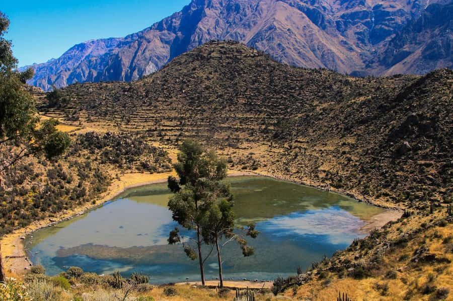 3-day trek to the Colca Canyon from Arequipa ending in Puno - Day 2: From San Juan de Chuccho to the Sangalle Oasis (Pools, Town Stops, and a Slower Afternoon)