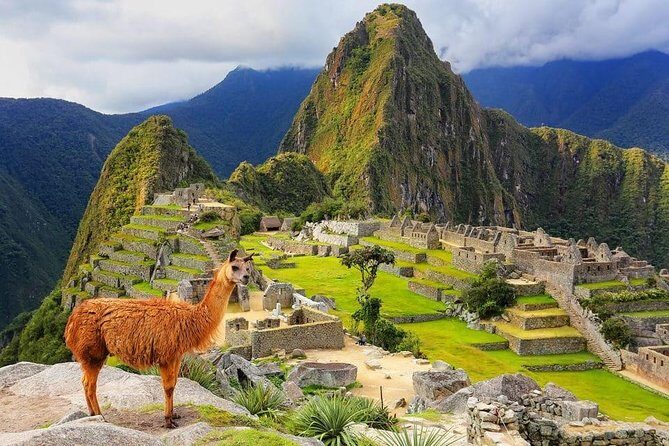 4-Day Excursion to MachuPicchu & Rainbow Mountain & City tour || All Included || - Machu Picchu on Day 3: train-to-Aguas Calientes, guided ruins, and ticket circuits