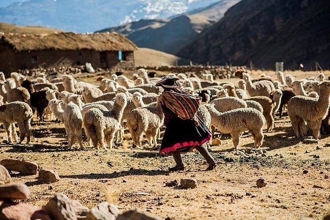 4-Day Lares Trek to Machu Picchu - Why the Lares route feels different than the usual Peru circuit