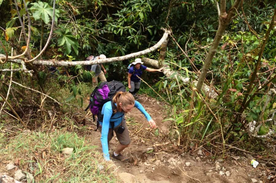 4 Days Inca Jungle Adventure to Machu Picchu - Vilcanota River day: optional rafting plus a controlled transition into hiking mode