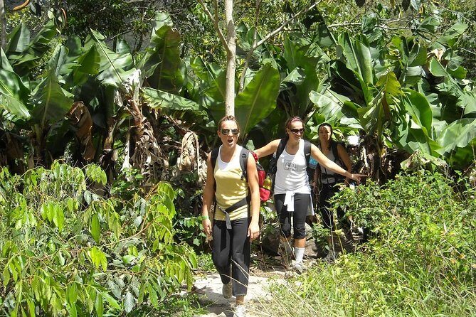4 Days Inca Jungle to Machu Picchu Standard - Day 4: Sunrise-first Machu Picchu with a guided 2-hour orientation, then free time and the walk back to the hydroelectric