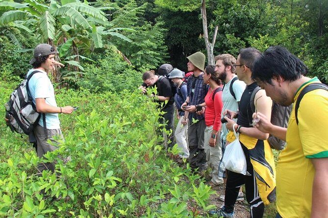 4 Days Inca Jungle to Machu Picchu Standard - What to pack for the Inca Jungle route (and why it matters)