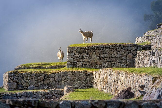 5 Day - Tour to Machu Picchu Traditional - Group service - Who should book this group service?