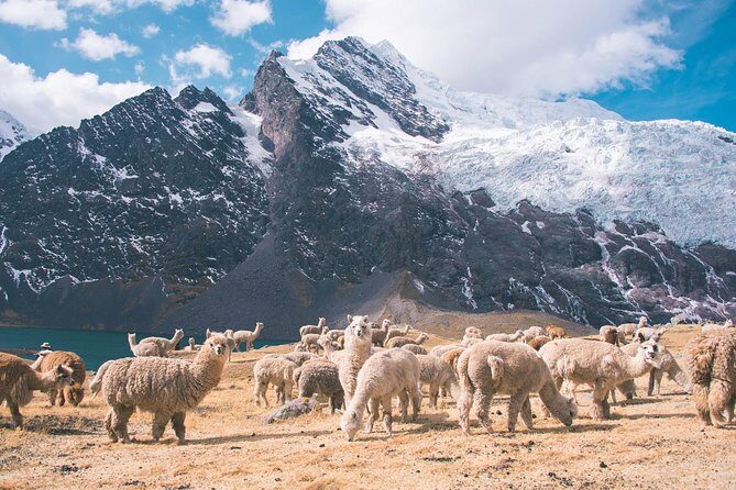 6 day Rainbow Mountain x Ausangate Trek - FlashpackerConnect - Day-by-day: from Tinqui to Rainbow Mountain sunrise