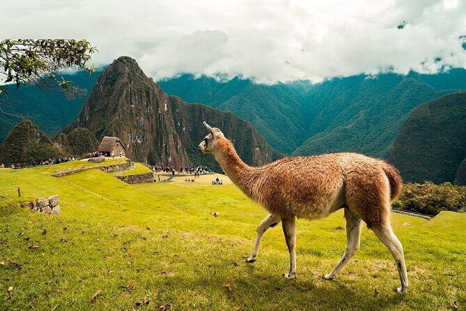 6-Day Tour of Cusco Magico-Machu Picchu-Rainbow Mountain - Cusco at 2 p.m.: Qoricancha, Sacsayhuamán, Q’enqo, Tambomachay