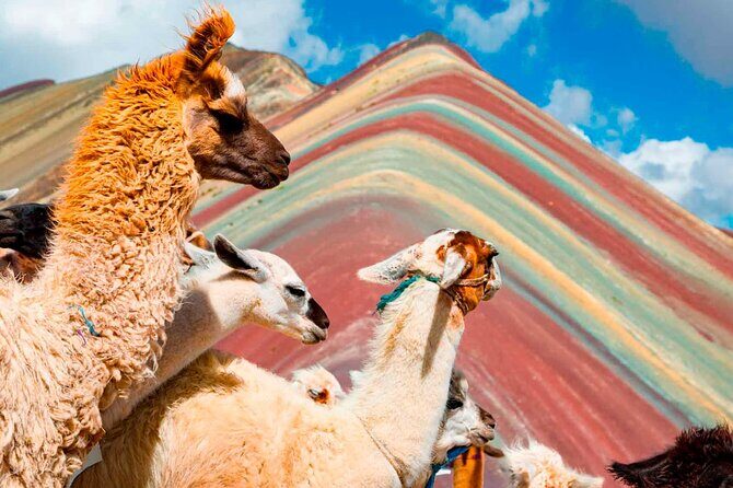 6-Day Tour of Cusco Magico-Machu Picchu-Rainbow Mountain - Humantay Lake at dawn: the 4,200m walk from Soraypampa (and horses if needed)