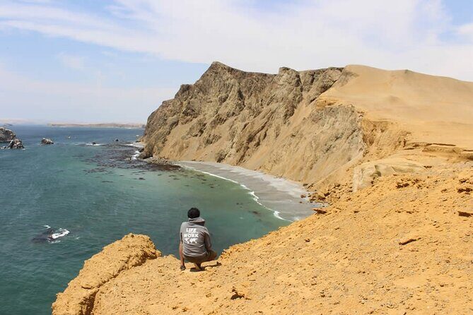 7-Hours Tour in Paracas National Reserve with Pickup - Paracas National Reserve: Boardwalk Hour, Cathedral View, and Red Beach