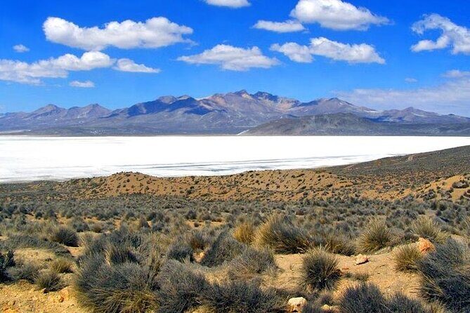 8-Hours Tour in Arequipa Laguna de Salinas with Pick-up - Price and value: $30 plus the costs you should keep in mind