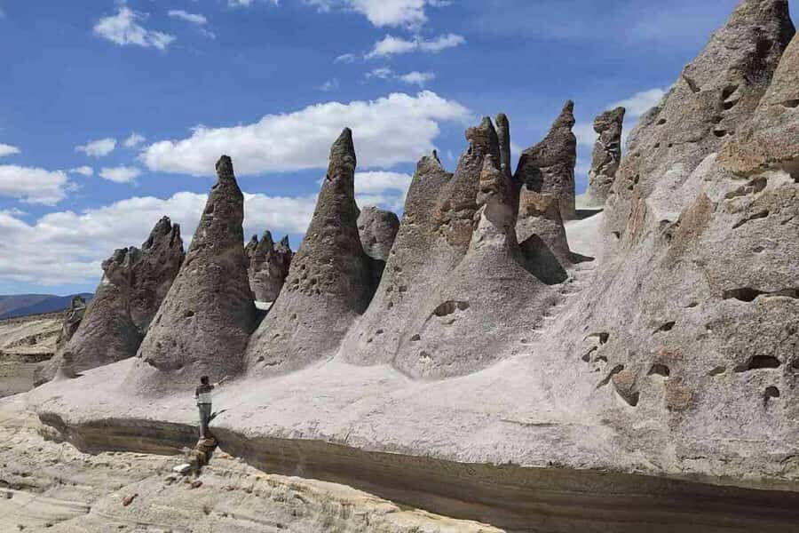 Adventure Day in Arequipa: Pillones Waterfall + Rock Forest - Salinas and Aguada Blanca Reserve: wildlife spotting with real scenery