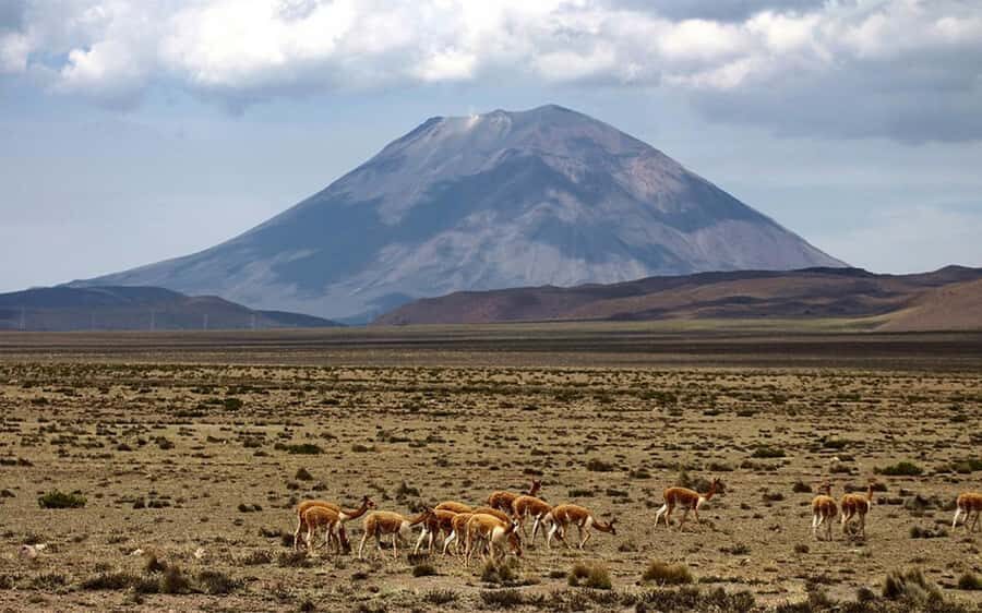 Adventure Day in Arequipa: Pillones Waterfall + Rock Forest - Puruña Stone Forest (Bosque de Piedras de Puruña): the “other planet” stop