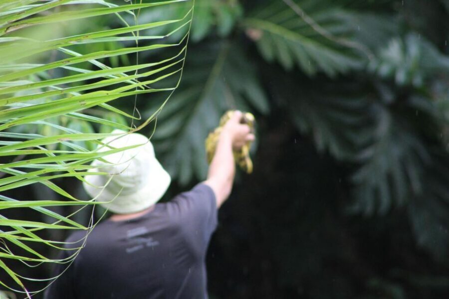 Amazonian Adventure 3 Days: Exploring the Jungle from Cusco - Should You Book Amazonian Adventure 3 Days?
