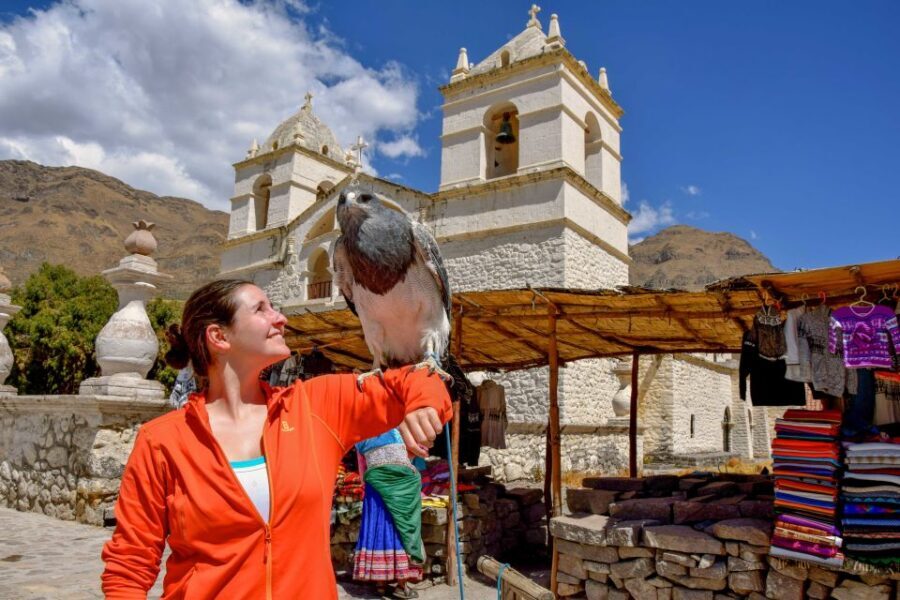 Andes: Colca Canyon Day-Trip - Key Things I Think You’ll Love