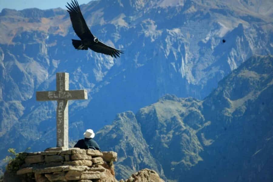 Arequipa: 1-Day Colca Canyon + Thermal Baths Tour - Sights and surprises between the canyon views