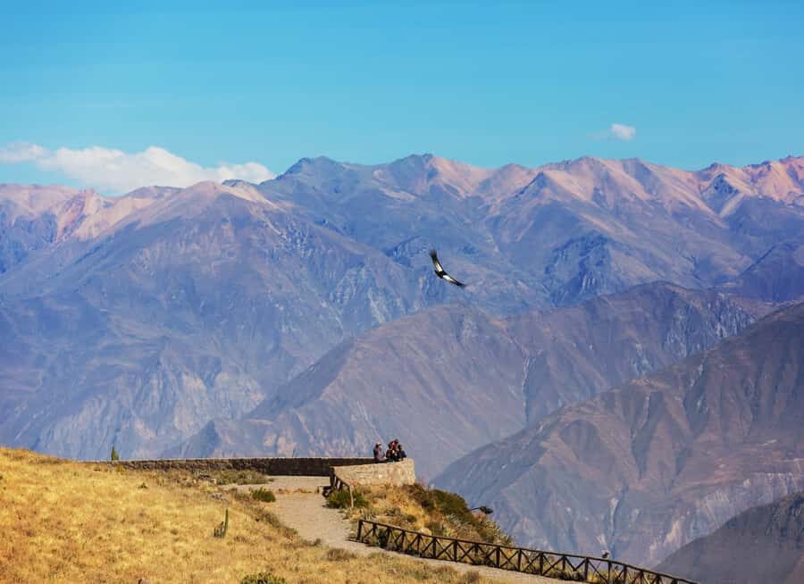 Arequipa: 2-Day Colca Canyon Classic Tour return to Arequipa - Key Points You’ll Care About