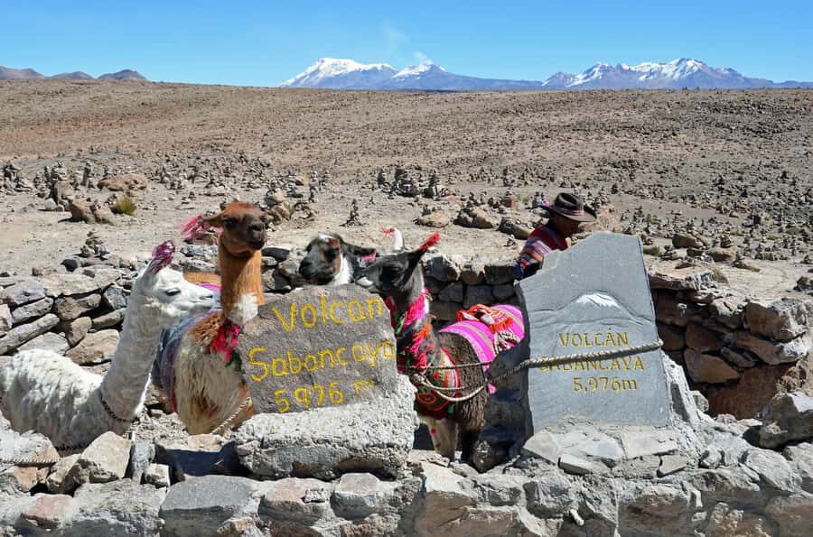 Arequipa: 2-Day Colca Canyon Classic Tour return to Arequipa - After Condors: Pinchollo, Maca, and Yanque Churches for a Slower, Human Scale