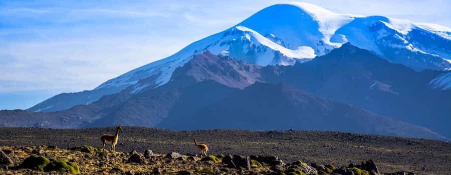 Arequipa | Ascent to Chachani Volcano 2 days / 1 night - Who Should Book This (and Who Should Skip It)