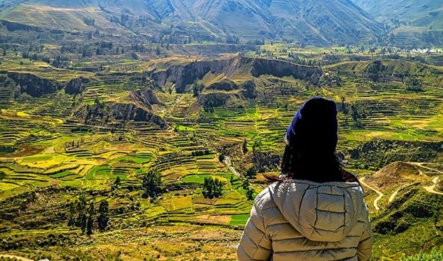 Arequipa: City and Country Tour - Sachaca and Balneario Tingo: Local Life Beyond the Center