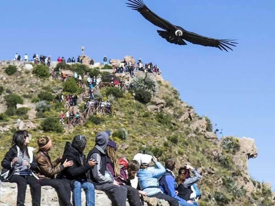 Arequipa: Colca Canyon Trekking 2 days and 1 night + food - Day 1 Breakdown: Villages, Canyon Hike, Lunch Stops, and Arriving at Sangalle