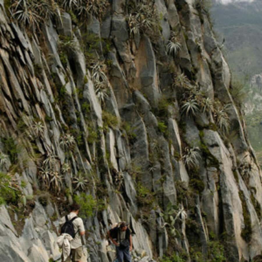 Arequipa: Colca Canyon Trekking 2 days and 1 night + food - Day 2 Breakdown: Cabanaconde Ascent, Breakfast, Thermal Baths, and the Wildlife Stops