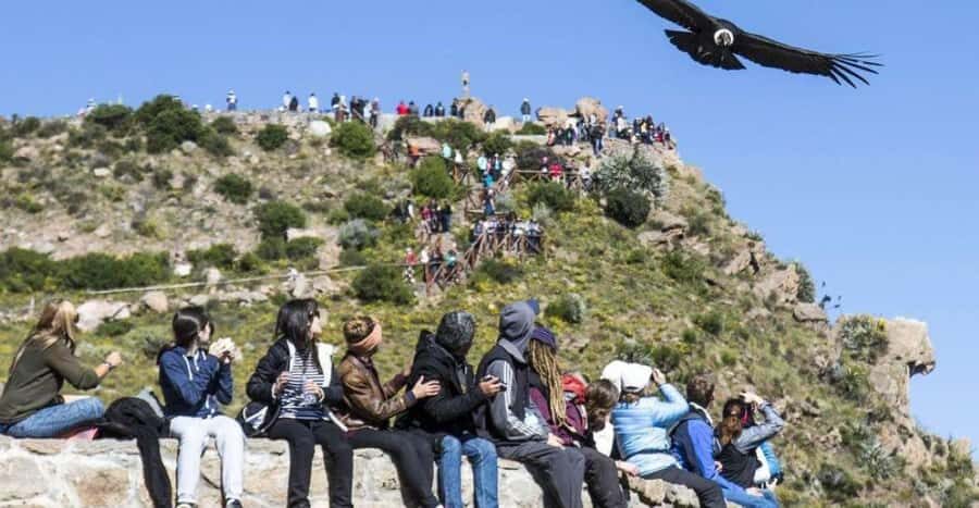 Arequipa: Full Day Colca Canyon Tour with transfer to Puno - Chivay breakfast and lunch on your own: how meals work