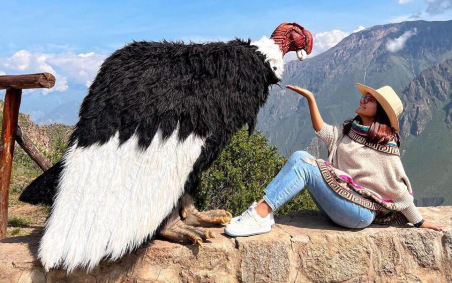 Arequipa: trekking to the Colca Canyon 2 days/1 night - The Return Route: Andenería Viewpoints, Maca, Volcano Views, and Salinas