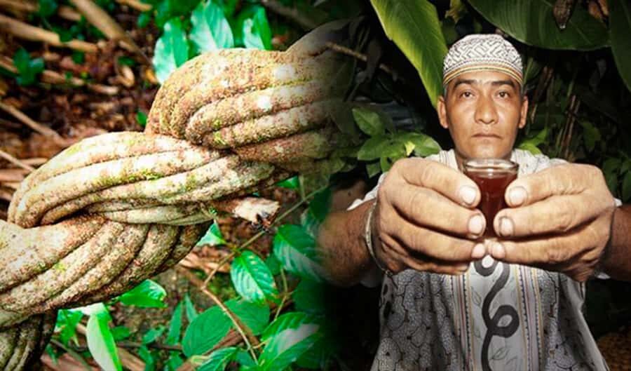 Ayahuasca Ceremony 1 Day in Cusco - The schedule around Cusco and Pisac (and why it’s not a strict 7-hour day)