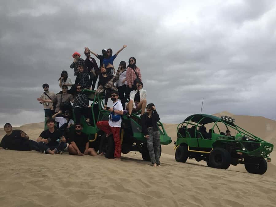 Ballestas Islands and Huacachina Oasis Half-Day Tour - Ballestas Islands by Speedboat: Sea Lions, Birds, and Caves