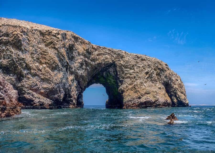 Ballestas Islands and Huacachina Oasis Half-Day Tour - Who Should Book This Tour, and Who Should Skip It