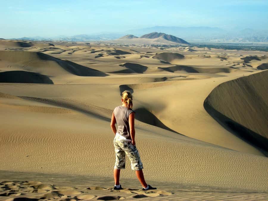 Ballestas Islands and Huacachina Oasis Half-Day Tour - Should You Book the Ballestas Islands and Huacachina Oasis Tour?