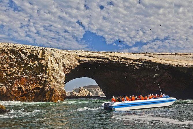 Ballestas Islands from San Martin Port CRUISESHIP TERMINAL - Paracas Peninsula Stop and the Candelabro Mystery