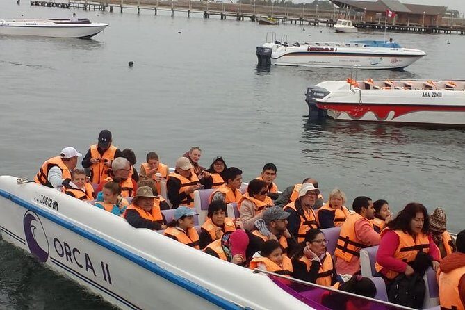 Ballestas Islands Group Tour from Paracas - Guides, language, and the vibe on board