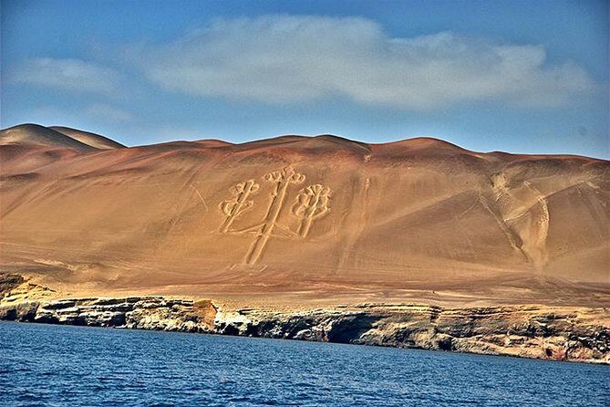 Ballestas Islands Group Tour from Paracas - Caves, distance limits, and why sea conditions matter