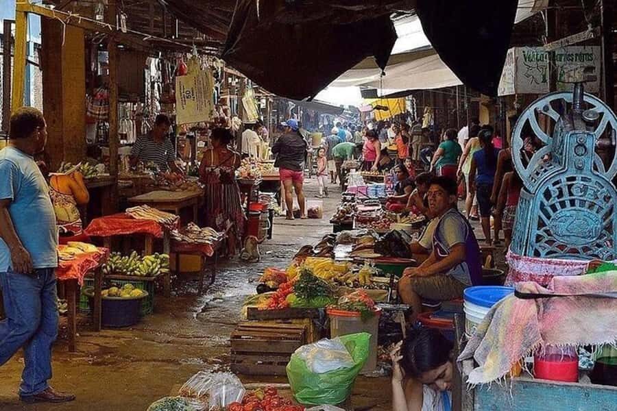 Belen Market & Floating City 2-3 Hour Private Tour - Why Kelwin’s English (and Local Connections) Matter